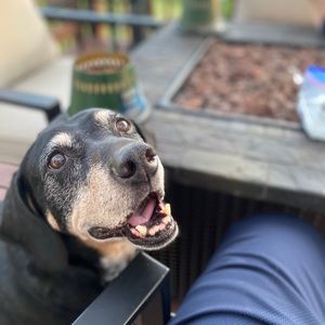 Meet your Posher, Andrew